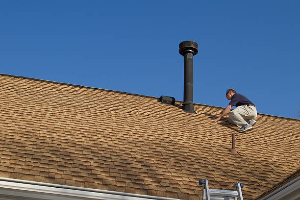 Best Roof Maintenance and Cleaning  in USA